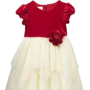 NWOT, Iris & Ivy Velvet Bodice to Mesh Dress